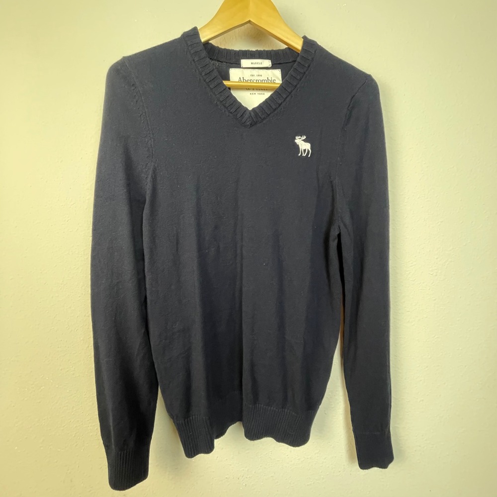 Abercrombie Fitch Mens Blue Preppy Long‎ Sleeve Sweater Muscle Fit L Academia